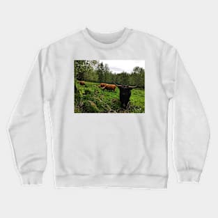 Scottish Highland Cattle Cows and Bull 2412 Crewneck Sweatshirt